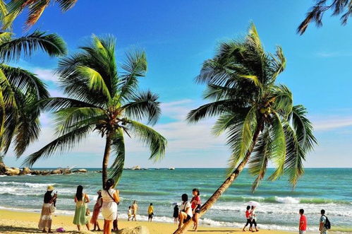 海南特色旅游小镇文化旅游项目开发策略研究